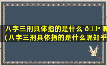 八字三刑具体指的是什么 🐺 呢（八字三刑具体指的是什么呢知乎）